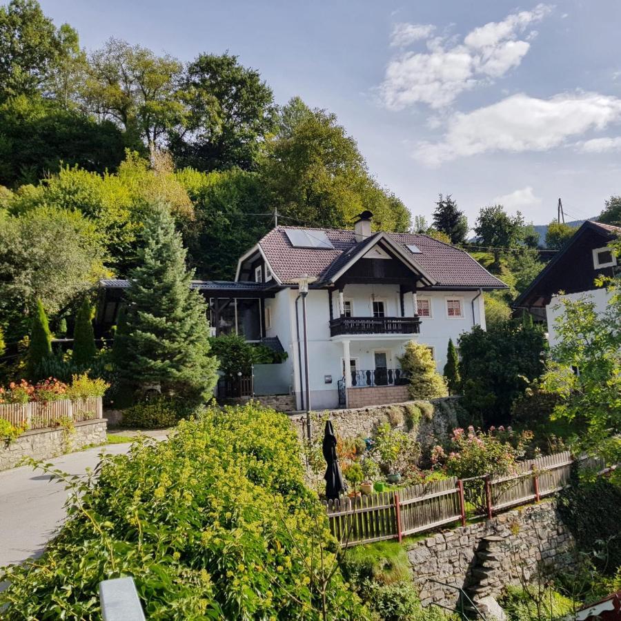 Rent A Radl Appartement Trebesing Buitenkant foto